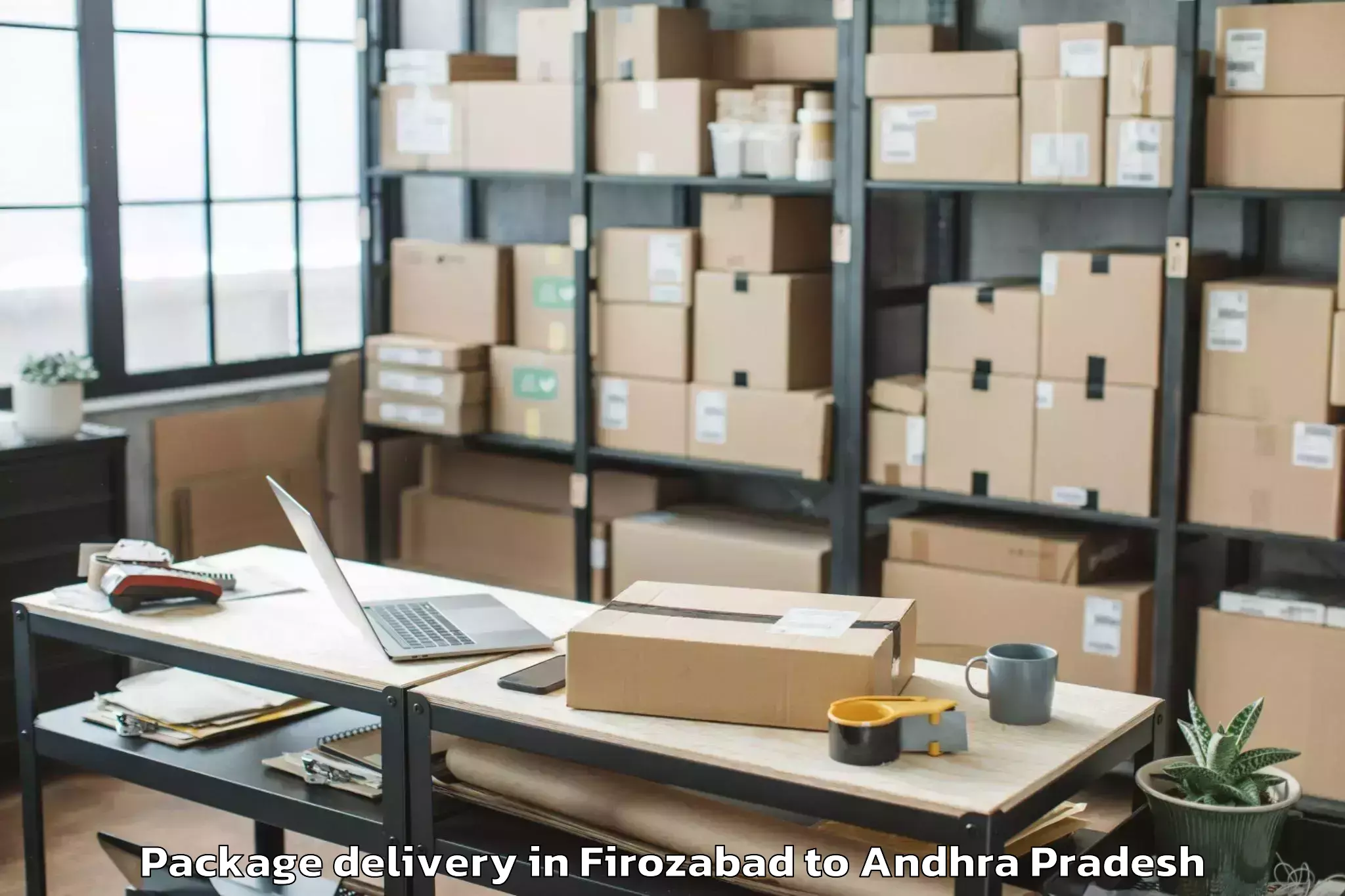 Professional Firozabad to Madugula Package Delivery